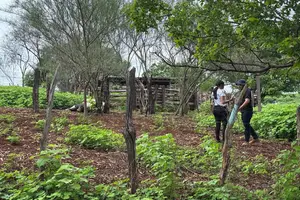Empresário morre eletrocutado em Picos; acidente causa comoção na região (Foto: Reprodução)
