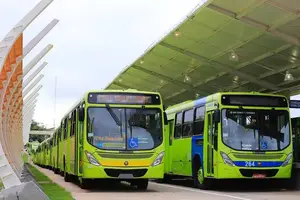 Ônibus em Teresina (Foto: Reprodução)