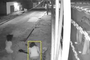 Câmeras de segurança flagram mulher matando irmão (Foto: Reprodução)