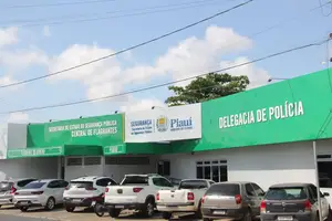 Central de Flagrantes de Teresina (Foto: Reprodução)