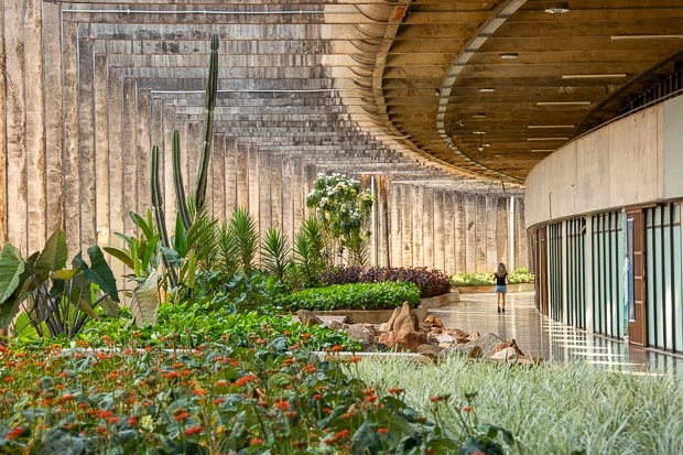 Estudo identifica peptídeo capaz de reduzir o acúmulo de proteína associada à doença e recebe investimento de R$ 1,1 milhão