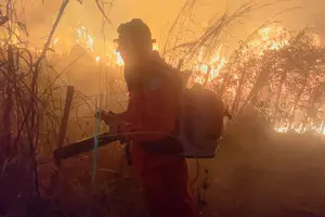 Incêndio em Batalha (Foto: Corpo de Bombeiros)