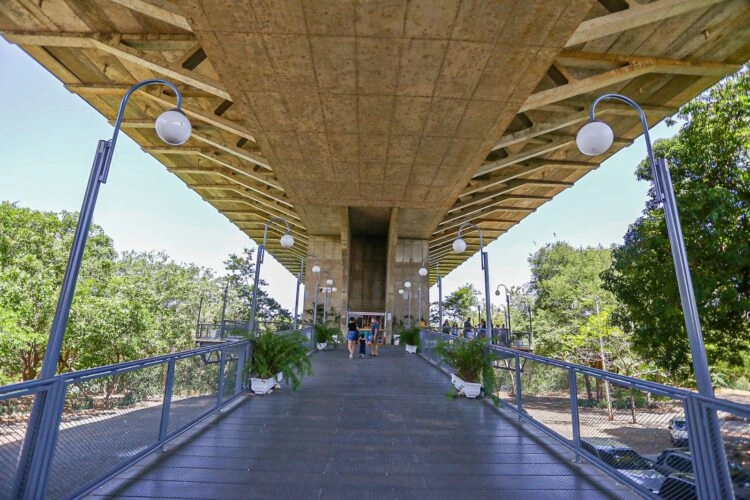 Mirante da ponte estaiada