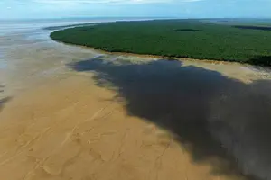 Parque Nacional do Cabo Orange durante a maré baixa, no estado do Amapá; área de conservação fica na costa da região em que a Petrobras quer explorar petróleo (Foto: Lalo Almeida)