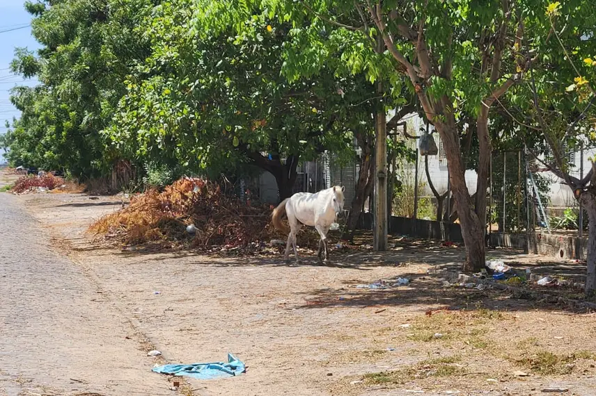 Quadra K Bloco 05, condomínio Ipês