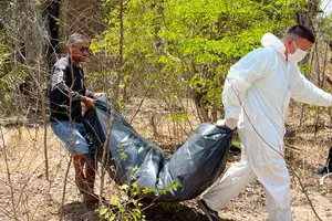 Remoção dos corpos (Foto: Reprodução)