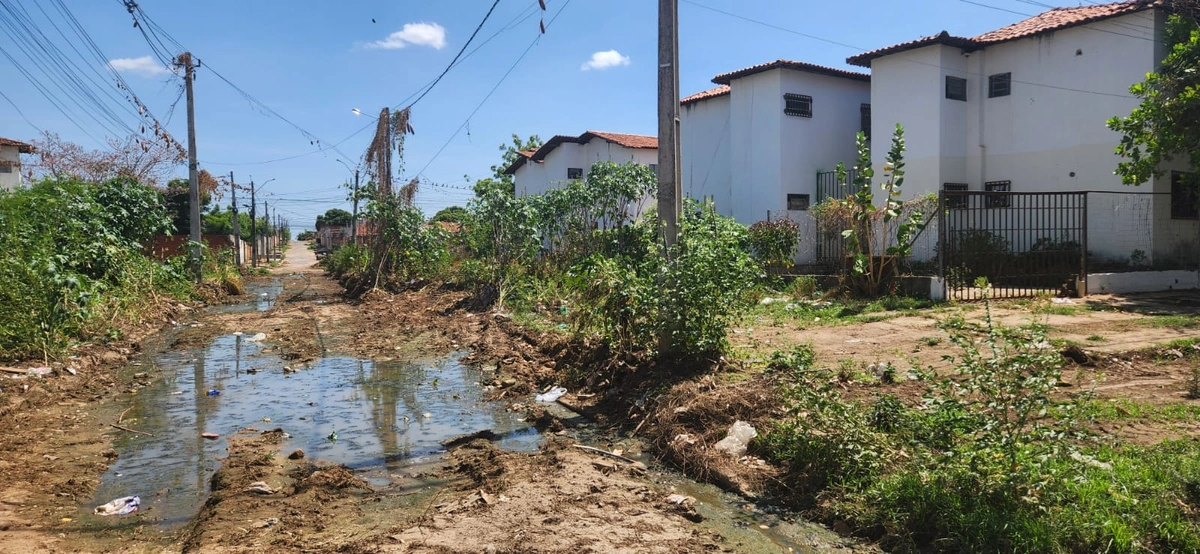 Ruas do Torquato Neto