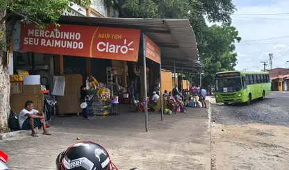 Árvores condenadas e calçadas perigosas: Teresina segue esperando providências