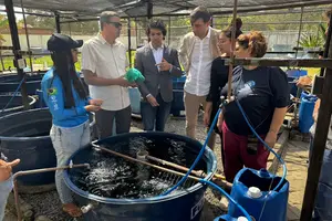 Comitiva italiana (Foto: Reprodução)