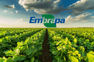 Embrapa (Foto: Reprodução)