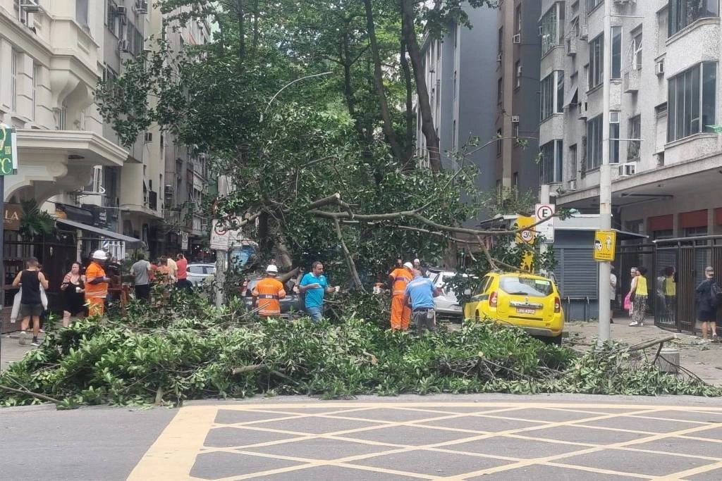 Prefeitura do Rio recolhe árvore após vendaval em Copacabana, na zona sul