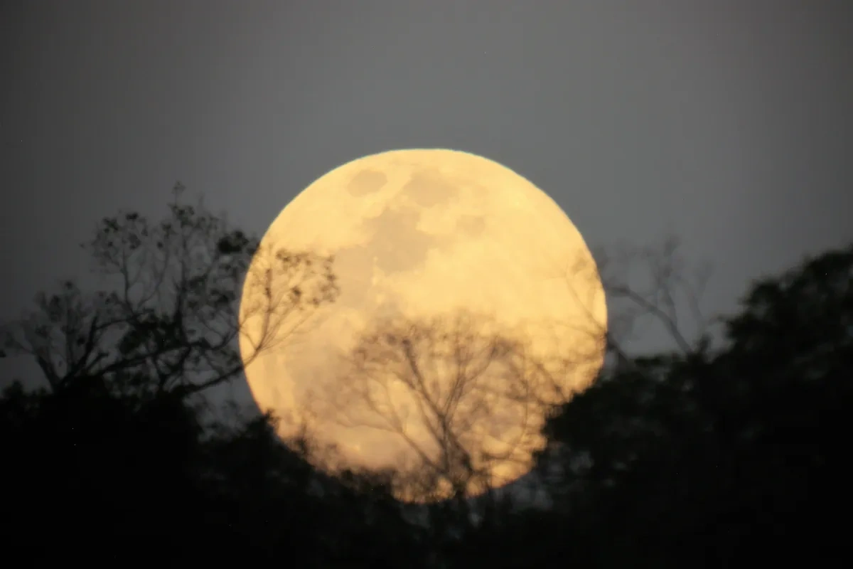 Superlua ilumina o céu do Brasil nesta quarta (5) e promete espetáculo a olho nu