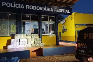 A Polícia Rodoviária Federal (PRF) apreendeu, no final da tarde desta terça-feira (23), cerca de 200 quilos de skunk (Foto: PRF)