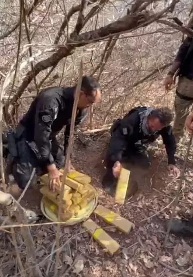Apreensão de drogas em Bom Princípio