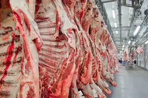 China anuncia cotas e novas taxas sobre importação de carne bovina (Foto: Reprodução | Abiec)