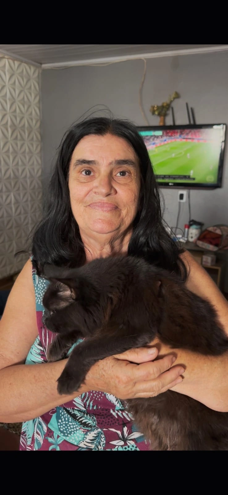 Dona Maria de Fátima é tutora de 35 gatos
