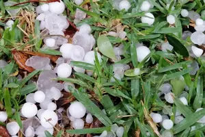 Granizo na grama (Foto: Reprodução)