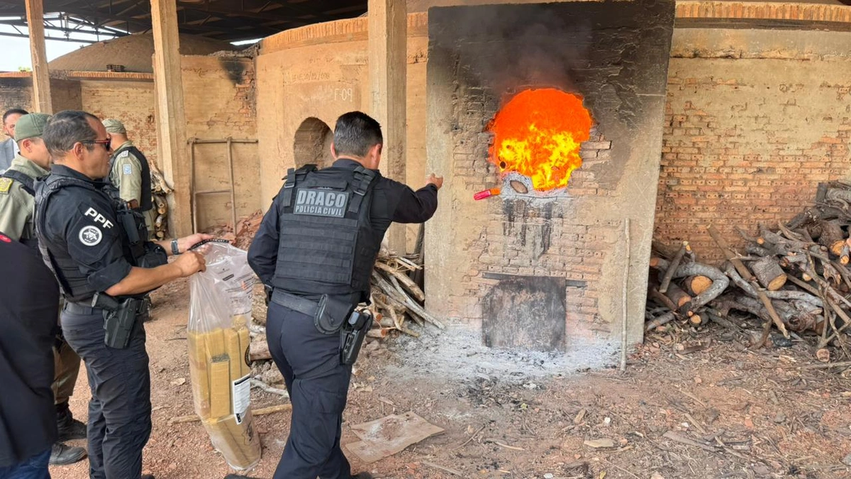 Uma tonelada de drogas apreendidas é incinerada