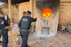 Uma tonelada de drogas apreendidas é incinerada (Foto: SSP-PI)