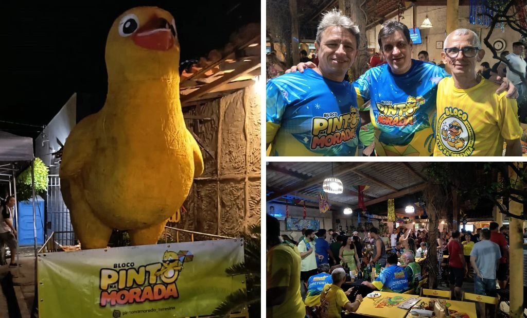 Bloco Pinto na Morada realiza prévia de Carnaval e reúne foliões na zona Leste de Teresina