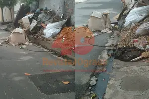 Lixo na zona Sudeste da capital do Piauí (Foto: Reprodução)