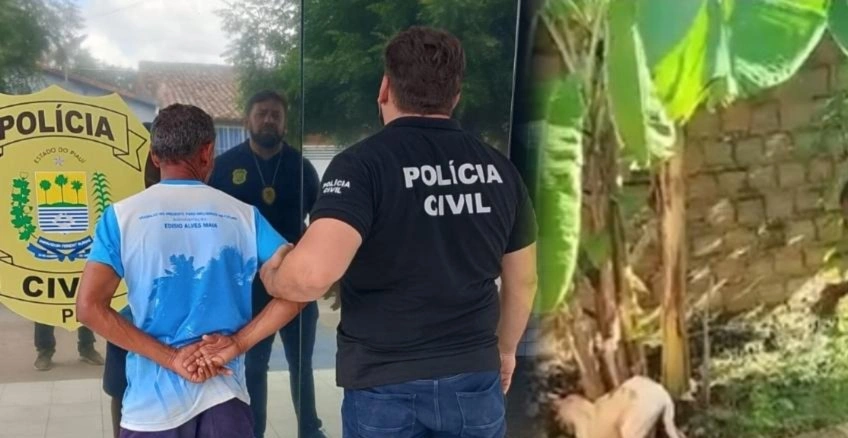Morador é preso no Piauí após espancar cachorro; diz que foi contratado