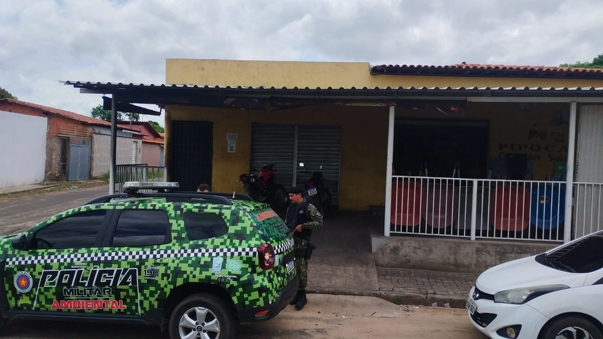 Polícia Militar realiza Operação Ambiental Rural e resgata 23 aves silvestres e uma jiboia no Piauí