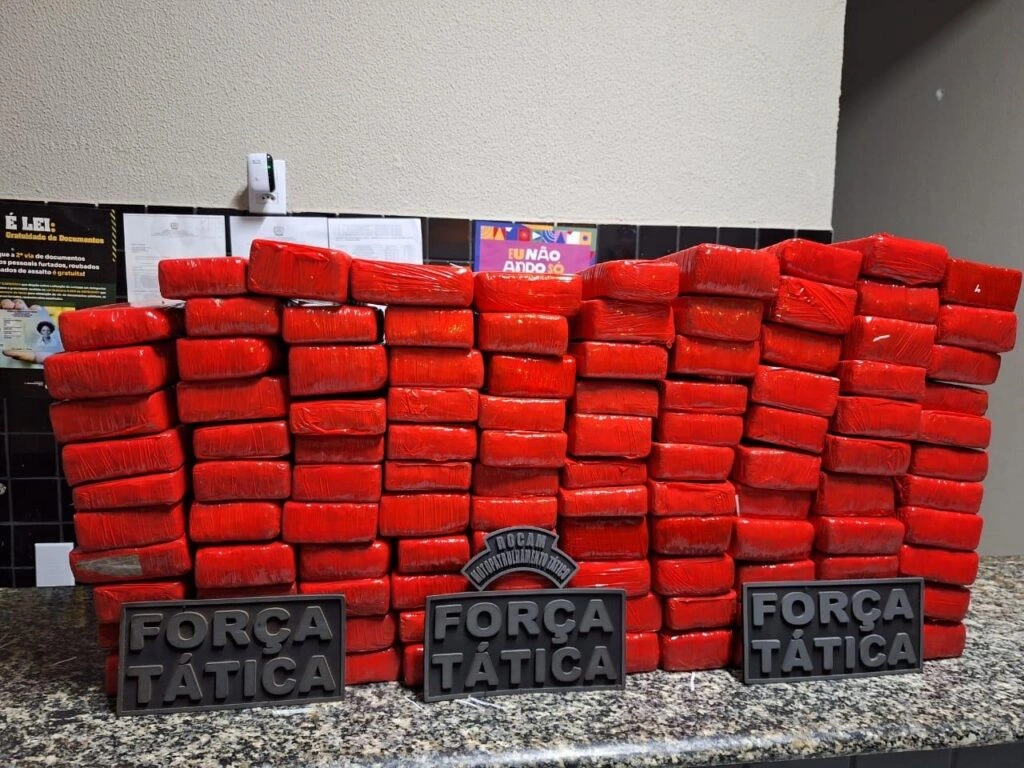 293 tabletes de maconha apreendidos pela PM (Foto: Reprodução/Governo do Piauí)