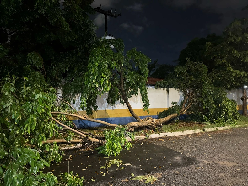 Chuva forte arrasta carros, derruba parede e árvore e causa alagamentos em Teresina