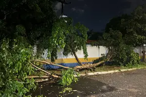 Chuva forte arrasta carros, derruba parede e árvore e causa alagamentos em Teresina (Foto: Ascom/ Defesa Civil de Teresina)