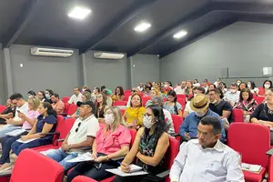 CMS (Foto: Reprodução)