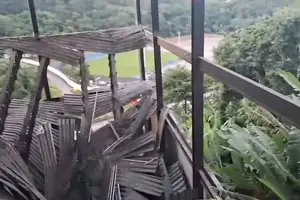 Laje cai e mata piauiense (Foto: Arquivo pessoal)
