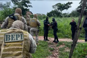 Operação da DRACO. (Foto: Secretaria de Segurança Pública) (Foto: SPP-PI)