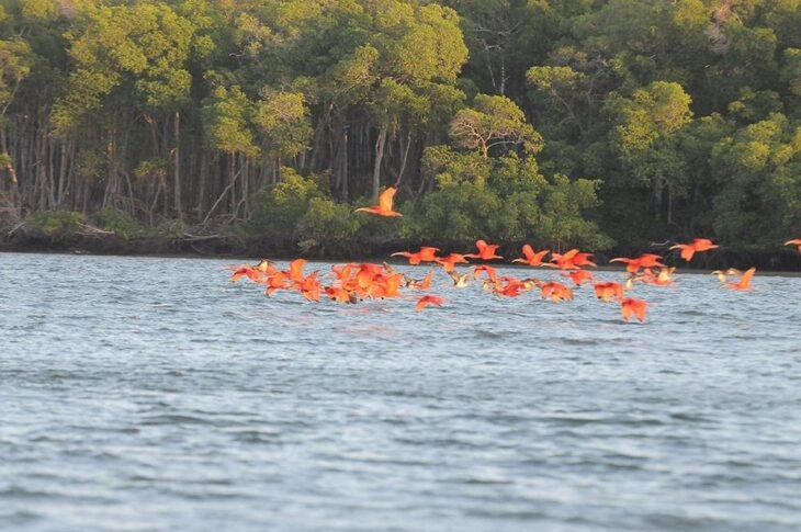 Crescimento econômico e políticas públicas impulsionam turismo no Piauí