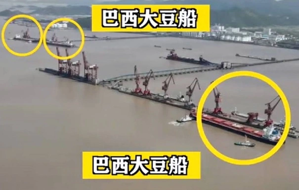 Navios com soja brasileira no porto de Ningbo-Zhoushan, na China, em 26 de abril de 2025