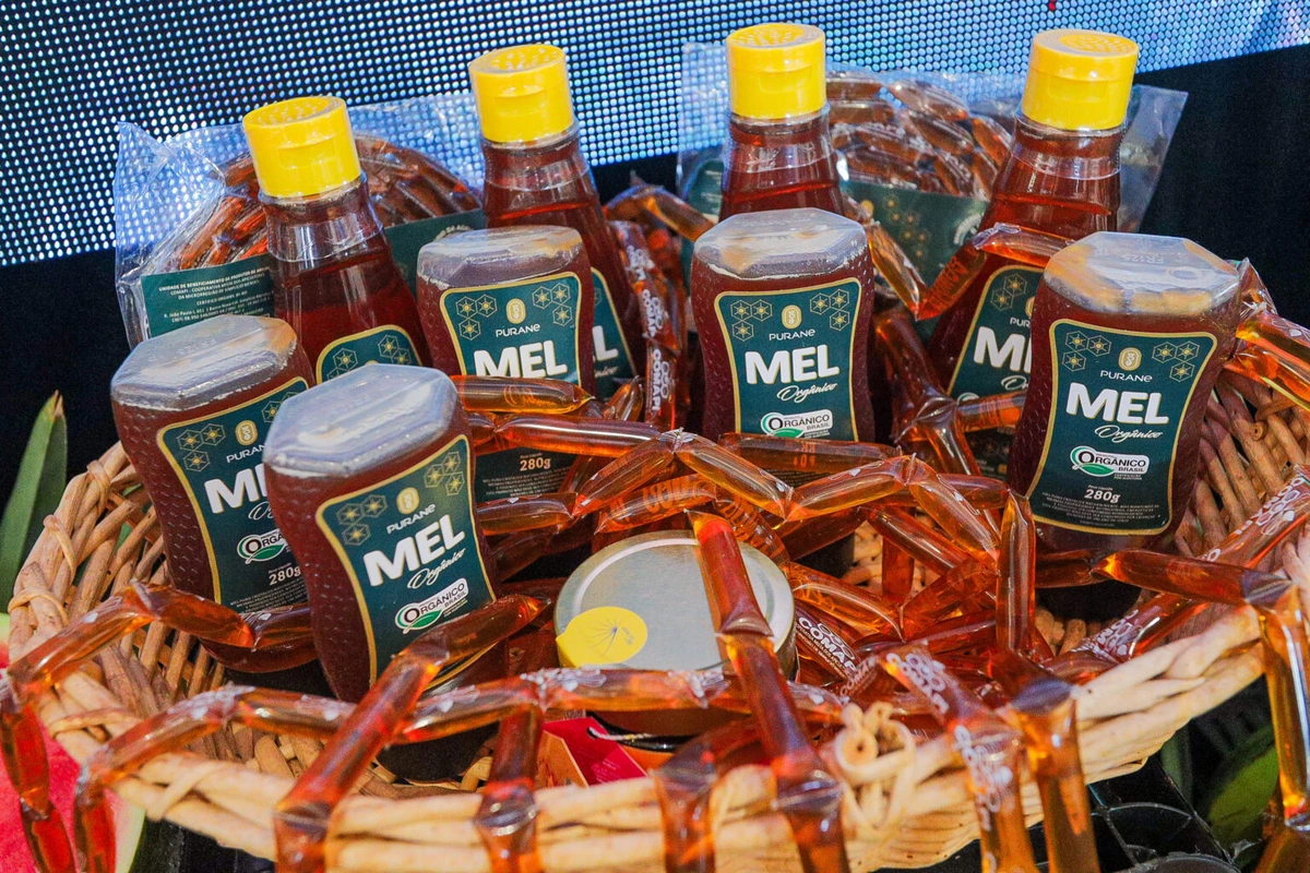Piauí é o 2º maior produtor de mel do Brasil e exporta mais de R$ 100 milhões por ano