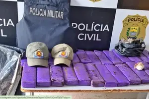 Polícia Militar apreende drogas em terreno baldio no bairro Novo Amarante (Foto: Reprodução)