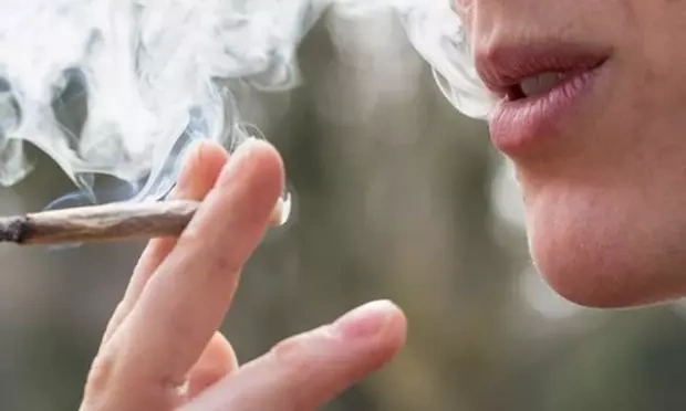 A pesquisa concluiu que a função vascular foi reduzida em 42% em fumantes de maconha e em 56% em usuários de alimentos com THC, a partir de uma comparação com não usuários.