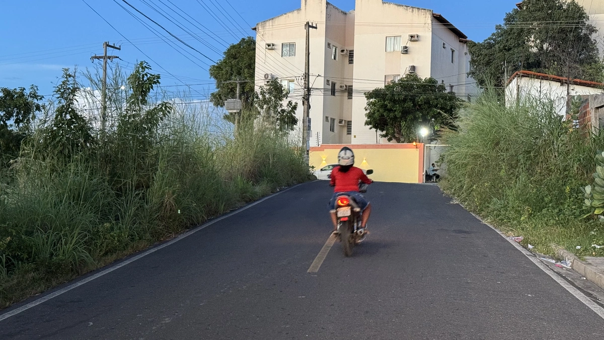 O mato alto representa sérios riscos à saúde e à segurança dos moradores