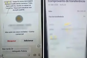 Prints mostram whatsapp do falso delegado e comprovante de transferência, Goiás (Foto: Divulgação/Polícia Civil)