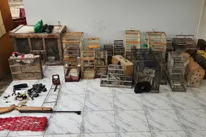 A operação foi deflagrada em uma residência localizada na zona rural do município de Pio IX. (Foto: Divulgação)