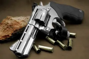 Arma de fogo (Foto: Reprodução)