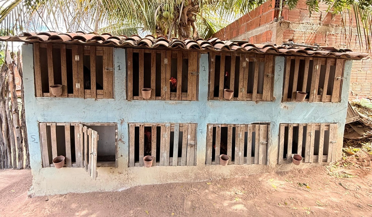 Cativeiro