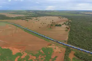Trem da concessionária Rumo, com 120 vagões, trafega no principal corredor do agronegócio, em Rondonópolis (MT) (Foto: Reprodução)