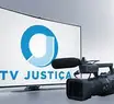 Assista aos depoimentos e o ao vivo do STF dos réus do núcleo 1 da trama golpista