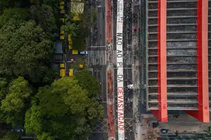 Manifestação na av. Paulista contra o PL do licenciamento ambiental, realizada no último domingo (13) (Foto: Danilo Verpa)