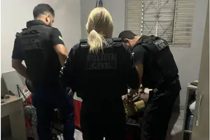 Polícia Civil DPCA Investigação sobre pornografia infantil (Foto: SSP-PI)