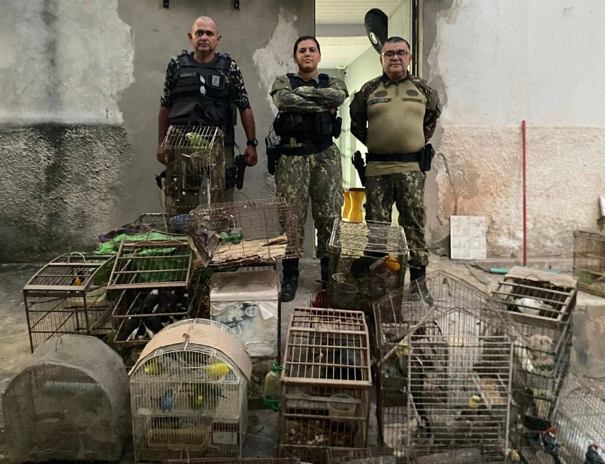 Policiais ambientais em ação no norte do Estado