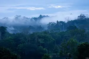 Cidade mítica Akakor estaria escondida no meio da Floresta Amazônica (Foto: Maurício de Paiva)