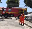 Incêndio em hortas comunitárias no Renascença assusta moradores